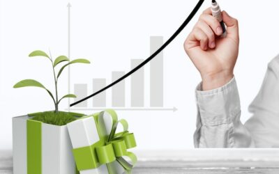 How Bookkeeping Service Providers Help to Grow Your Business?