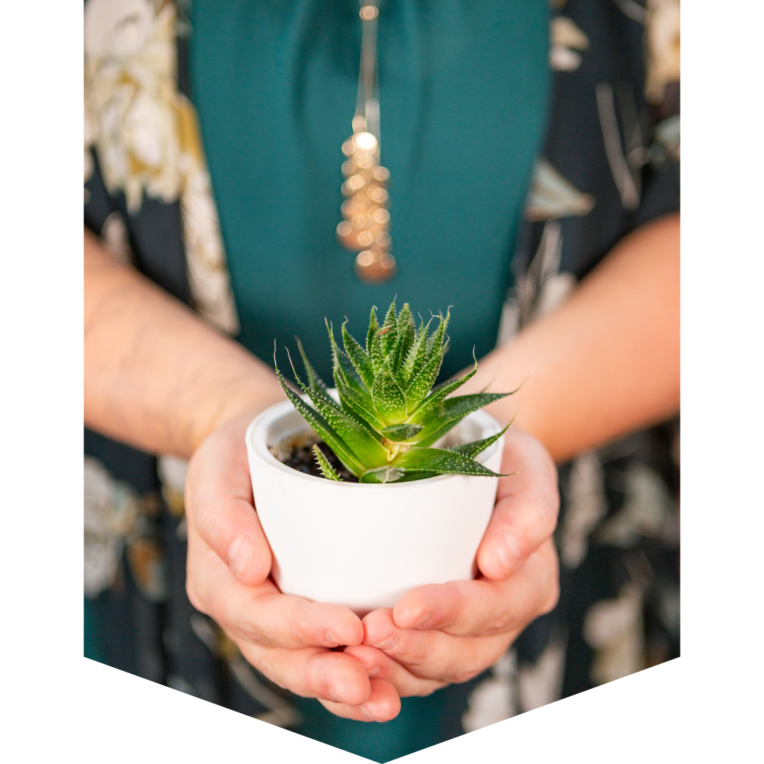 DIY tag DIY quickbooks online course tag