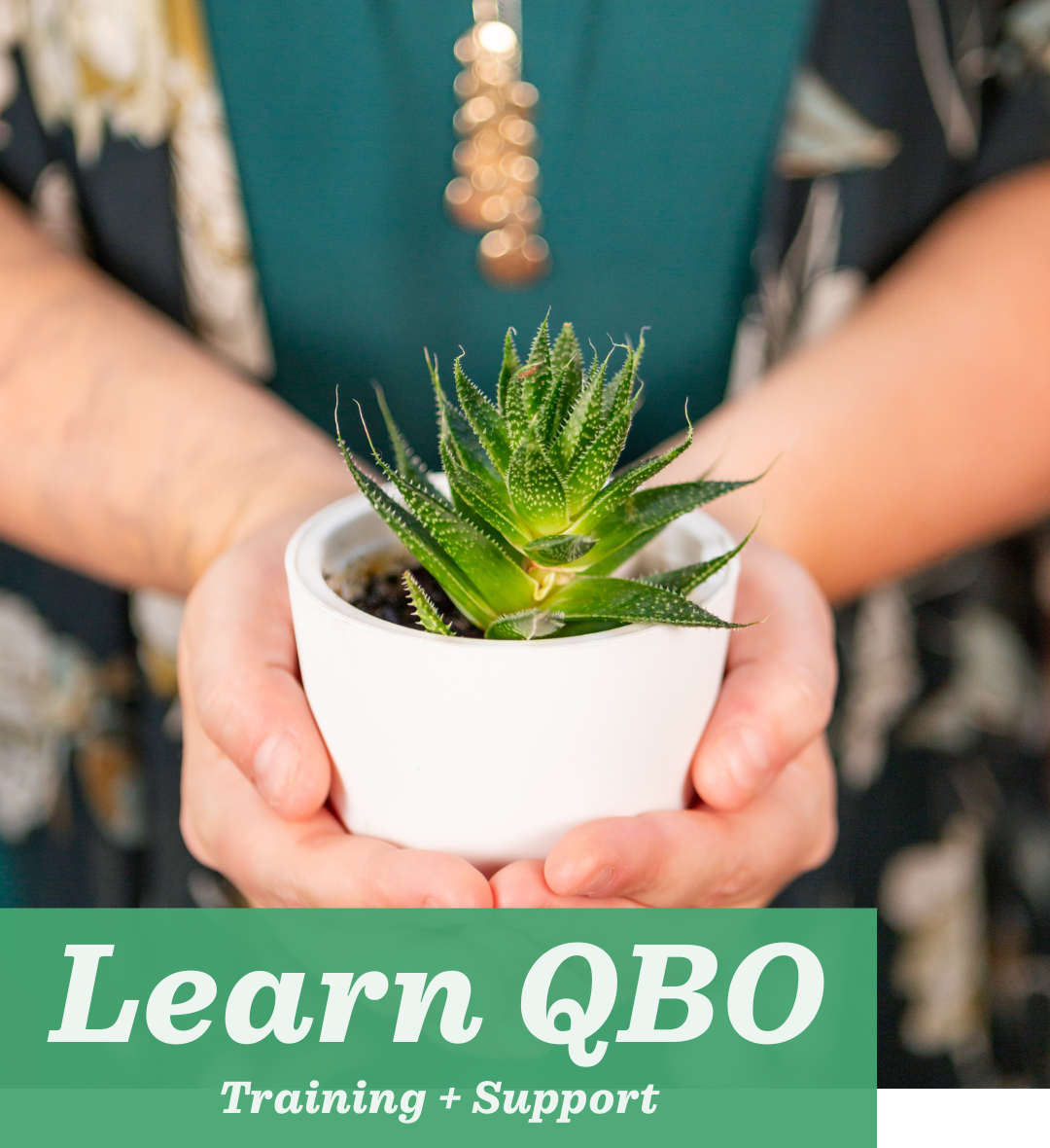 learn qbo
