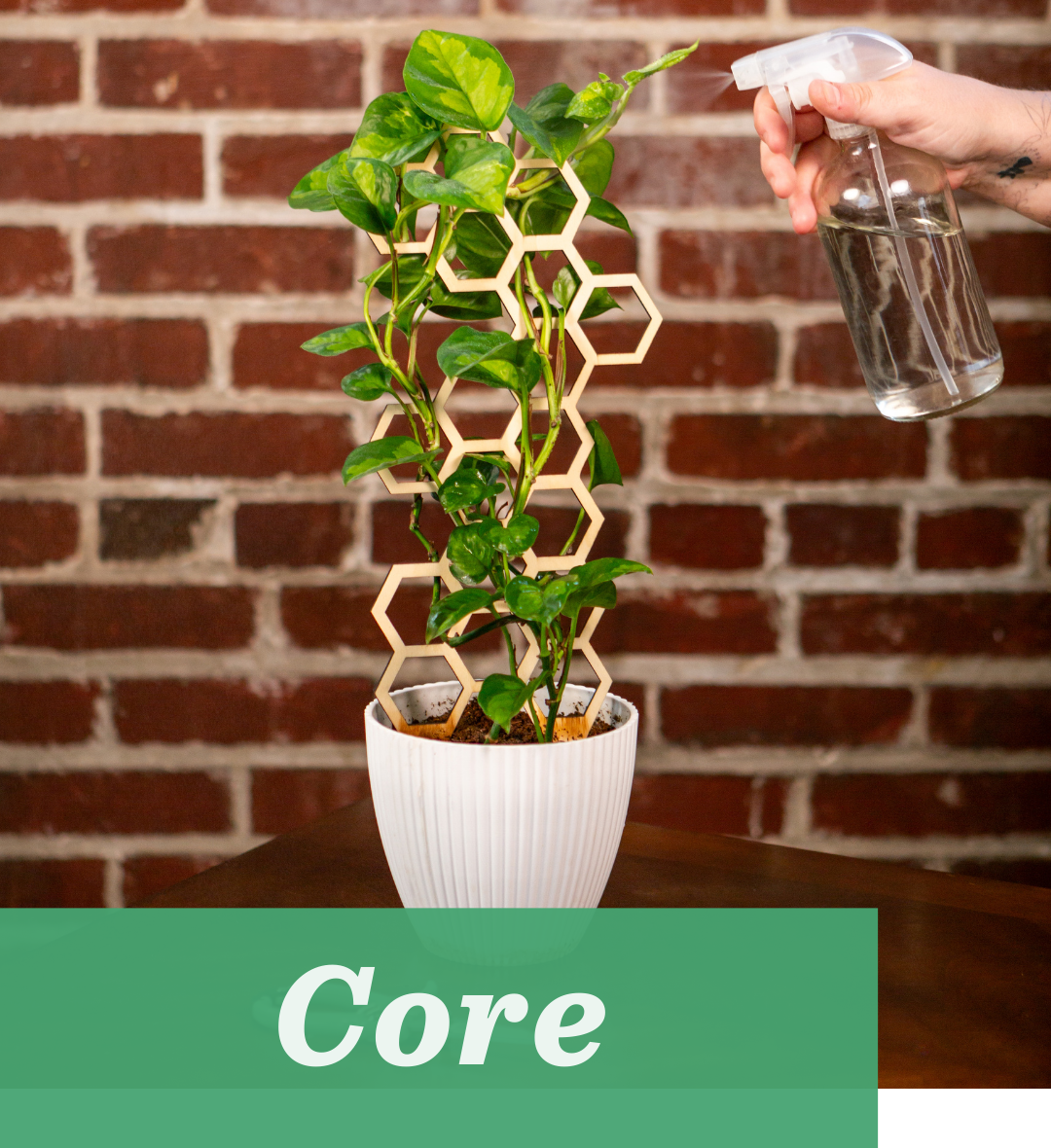 core package bookkeeping fundamentals