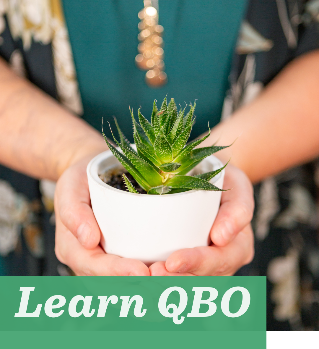 learn qbo thumbnail