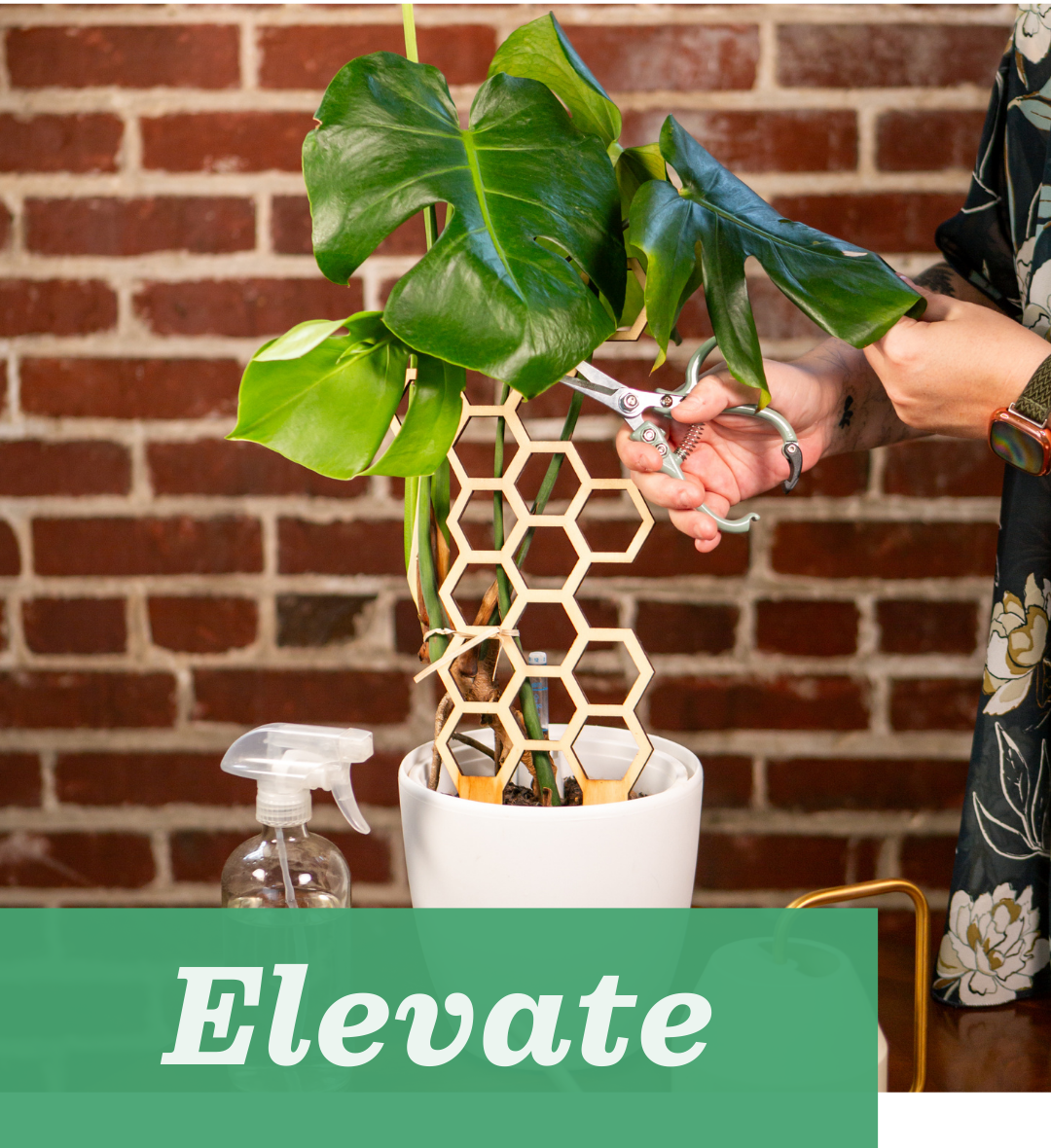 elevate bookkeeping and advisory package